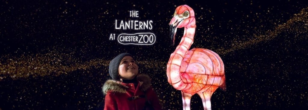 Chester Zoo Lanterns