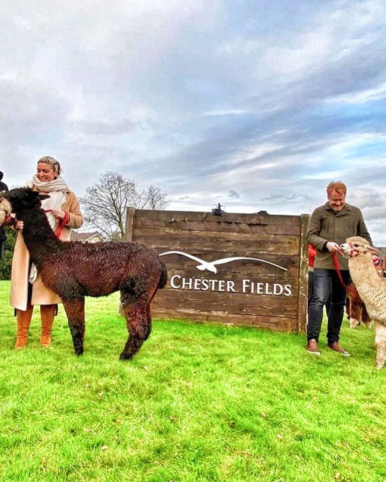 The Chester Fields Country Pub And Restaurant Alpaca Walks