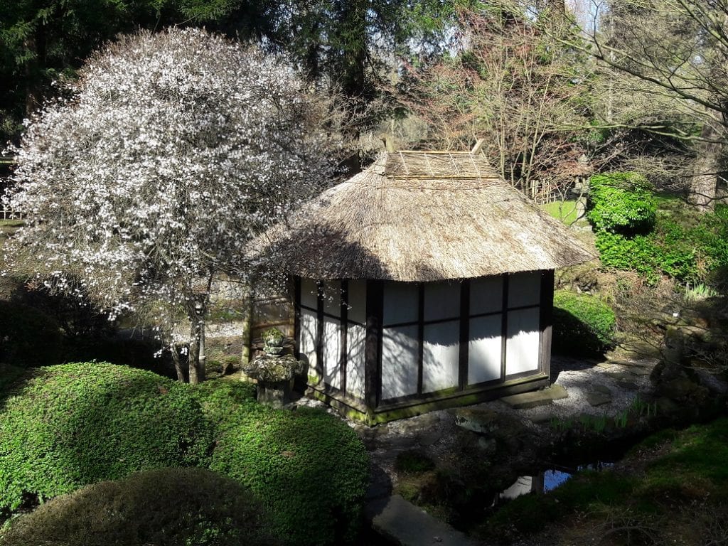 Tatton Park Early Spring In Japanese Garden