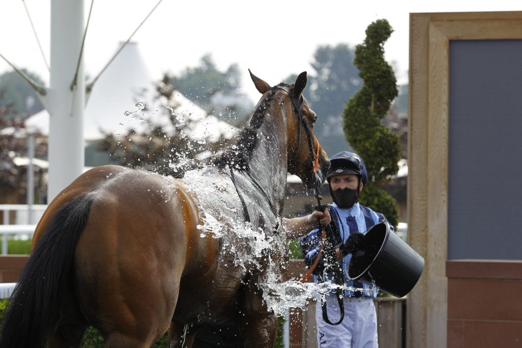 Kevin Stott Gives His Winner Militia A Wash Down After Victory At Chester
