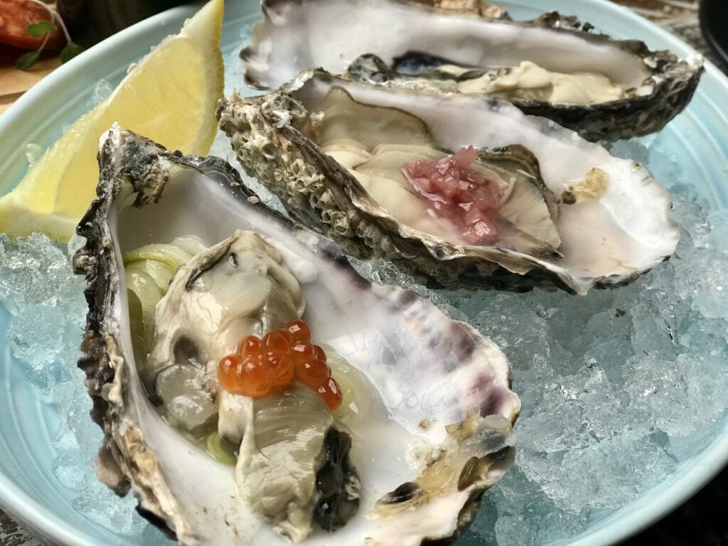 the suburbs oysters 