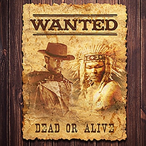 wanted 300px new